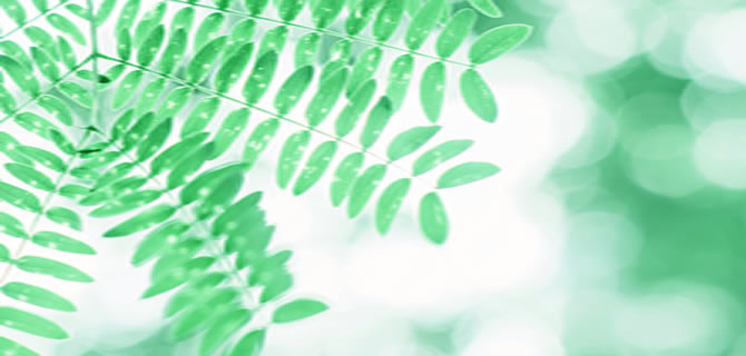 无磷环保型双氧水稳定剂配方